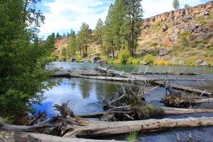 River Rim Park Site - Bend Park And Recreation District