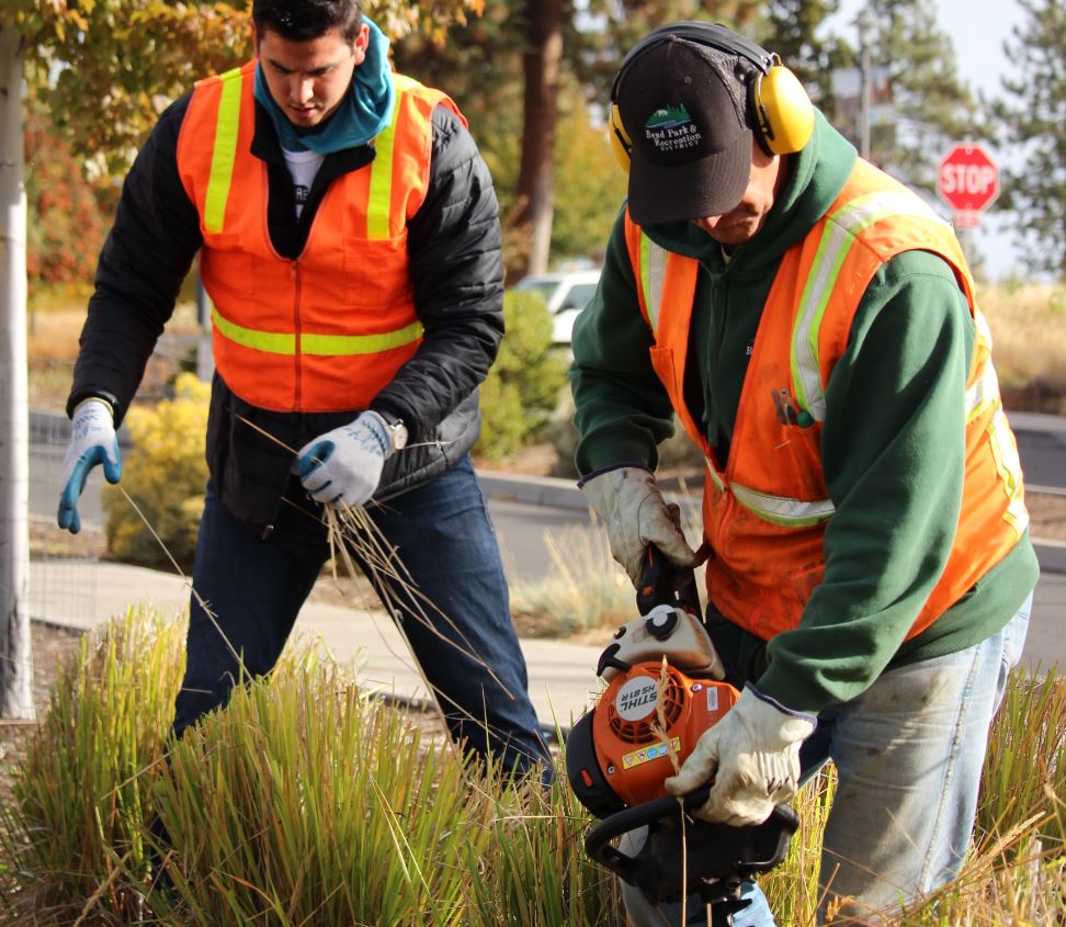 Job Class Specifications Bend Parks And Recreation District