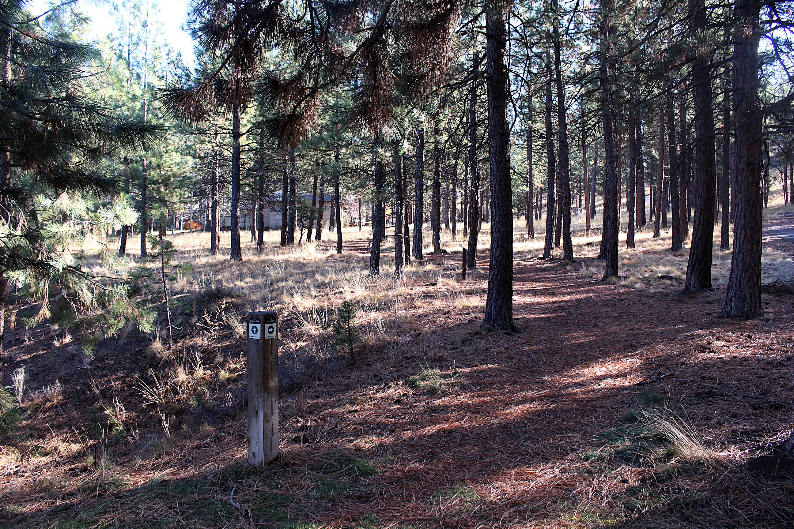 The Sylvan to Summit trail