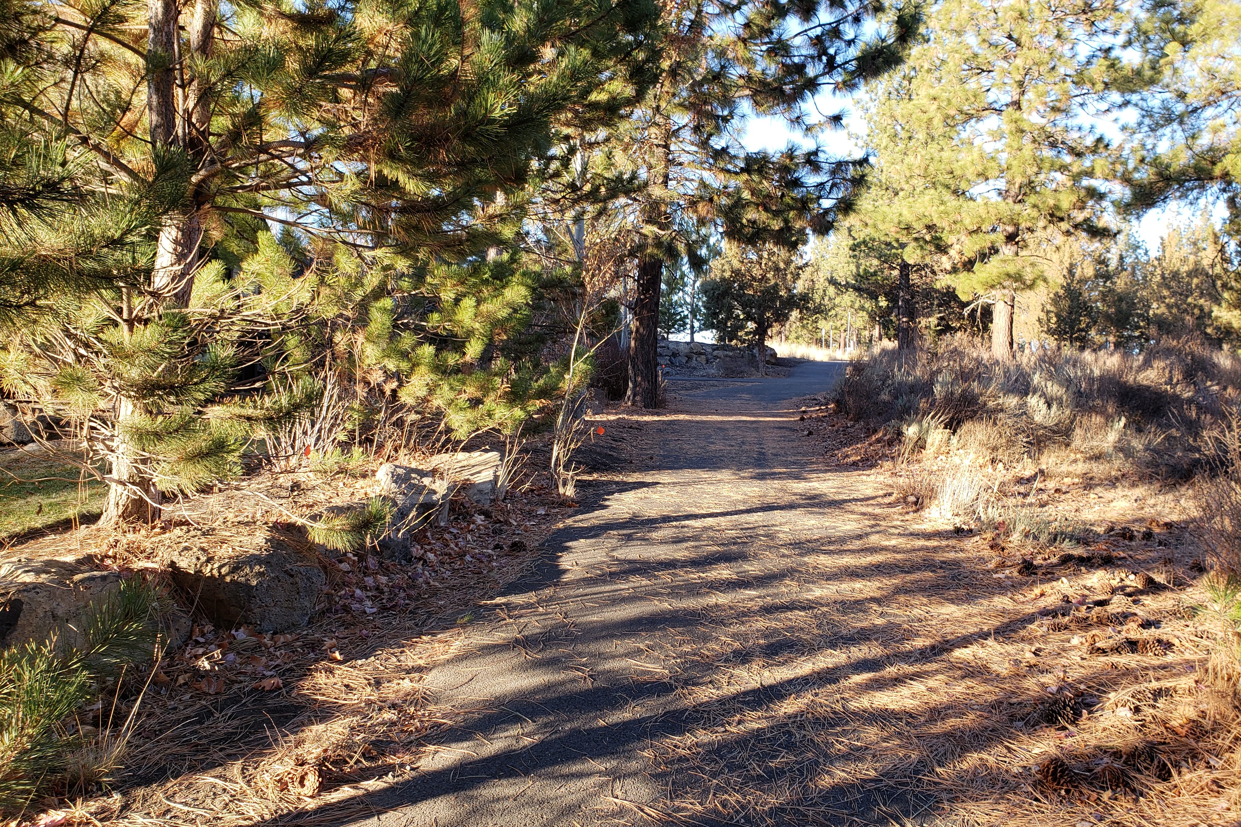 Shevlin Park trail