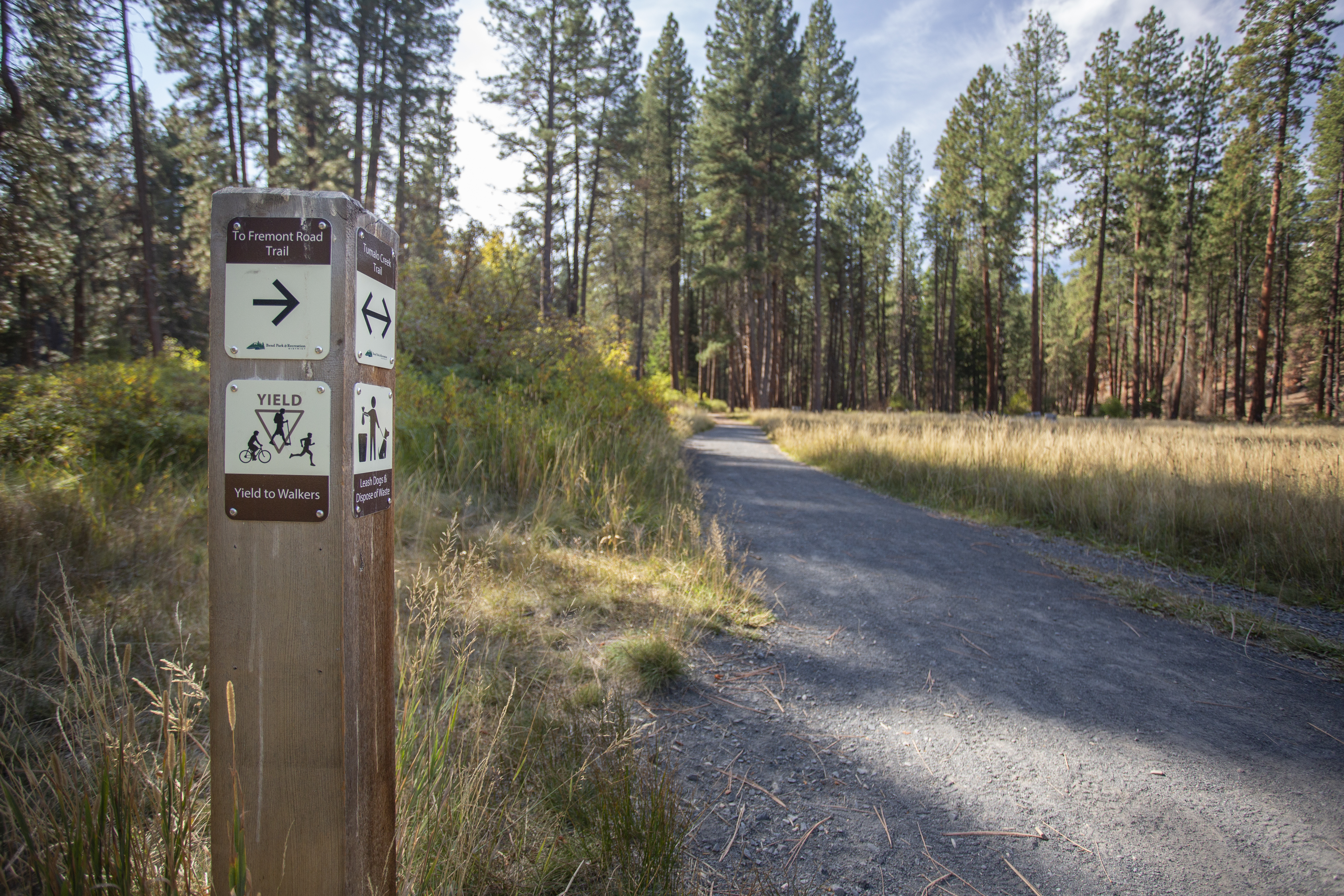 A wayfinding bollard in Shevlin Park