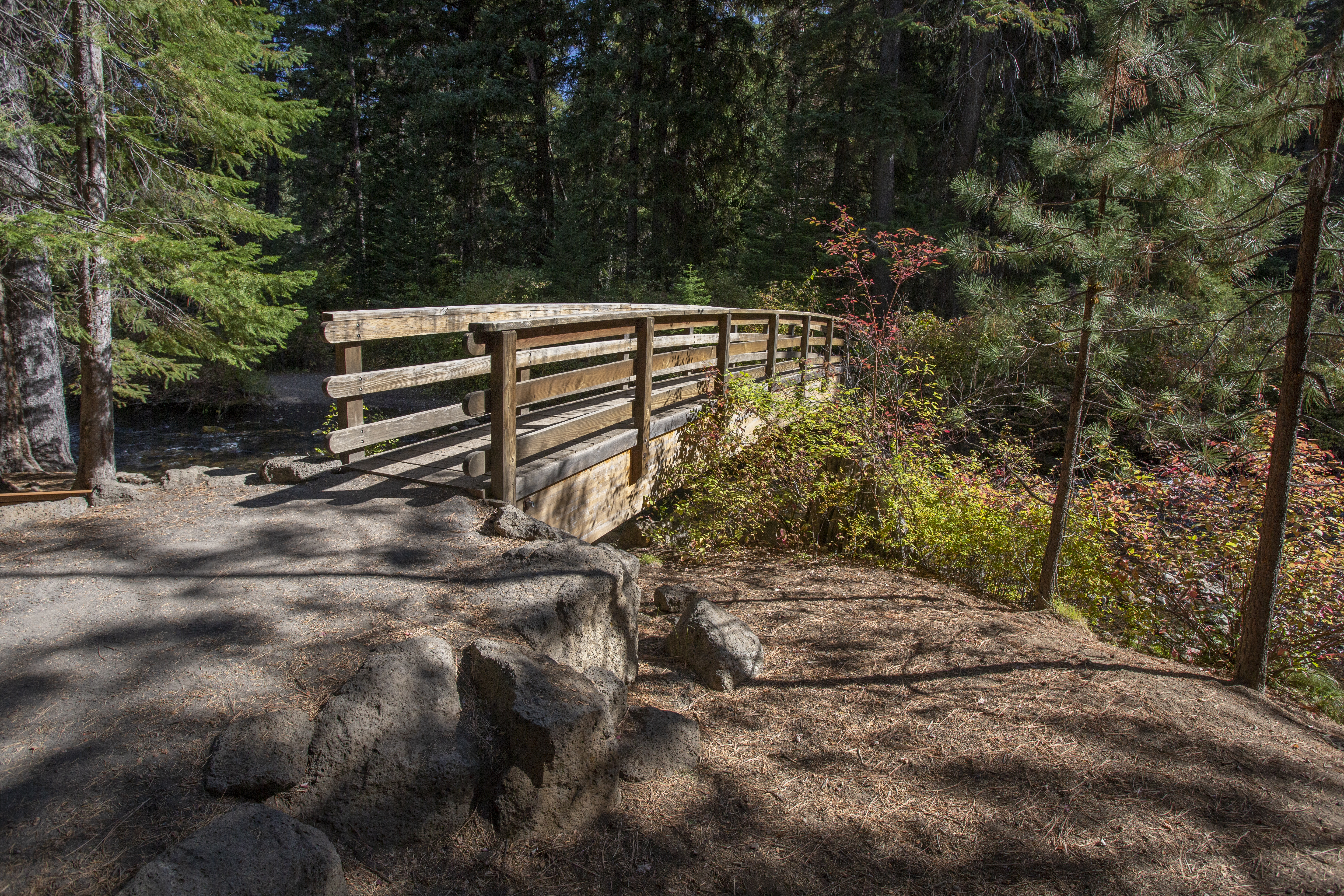 A bridge over the creek in Shevlin Park