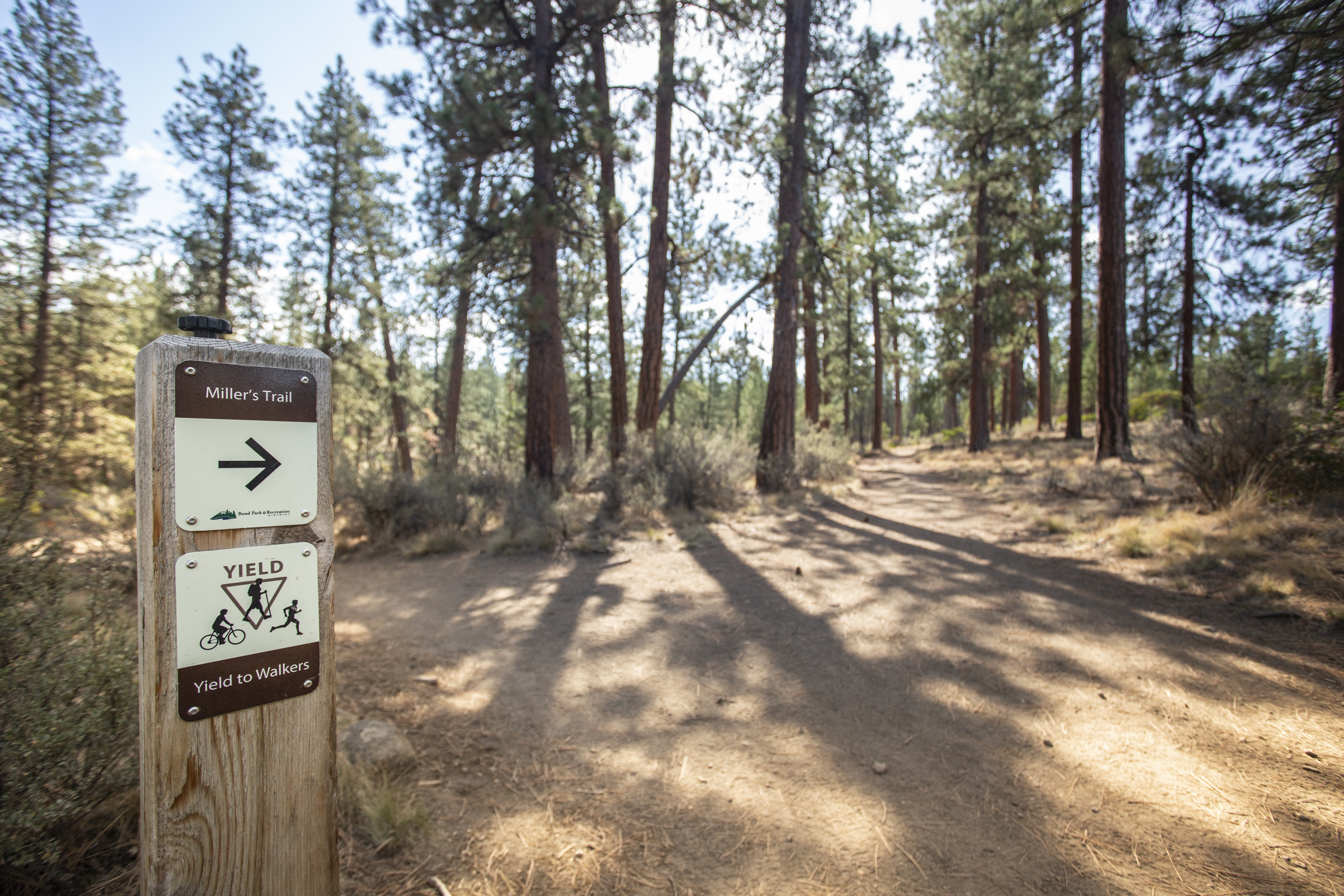 A wayfinding bollard in Shevlin Park