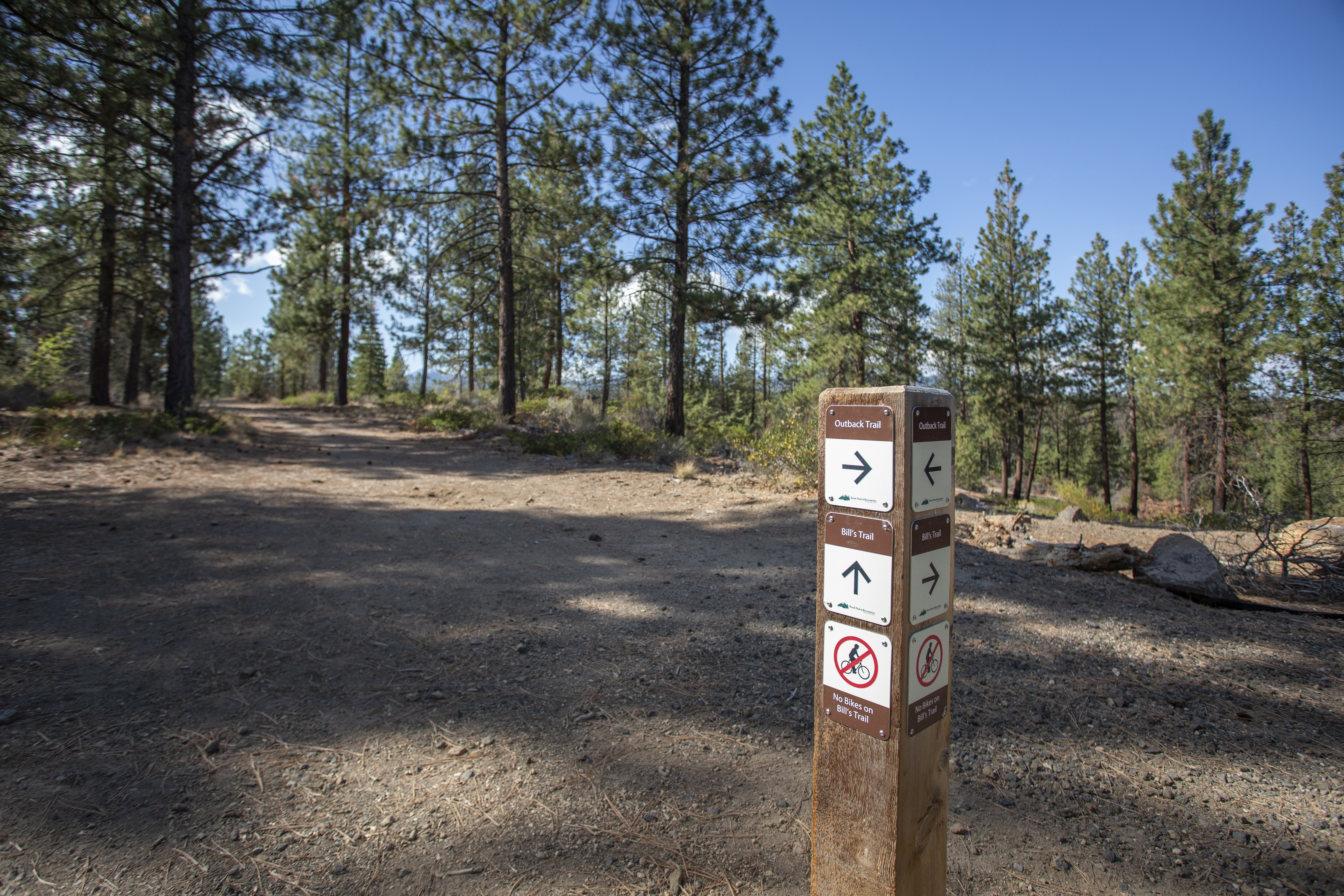 A wayfinding bollard in Shevlin Park