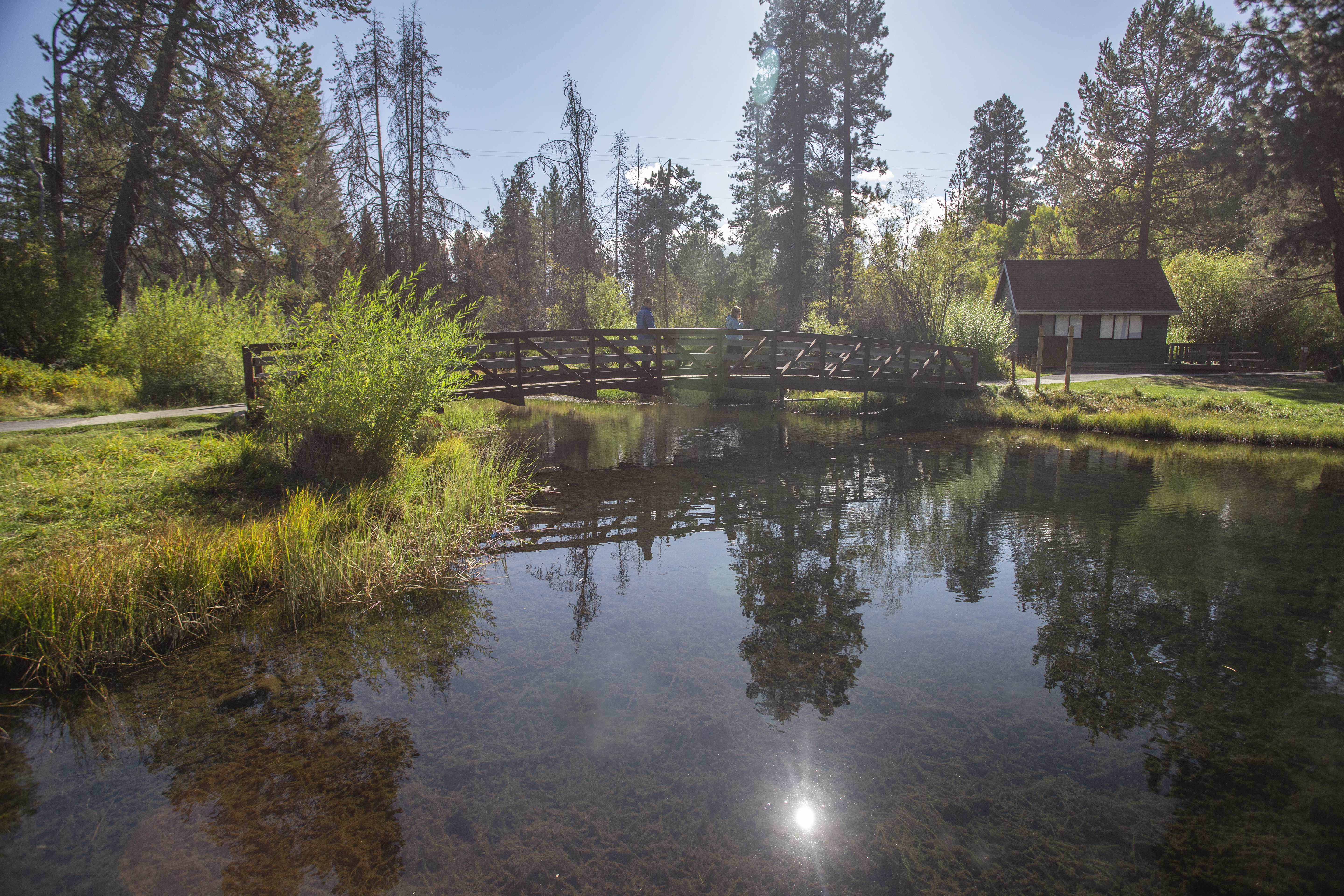 The fishing pond bridge in Shevlin Park