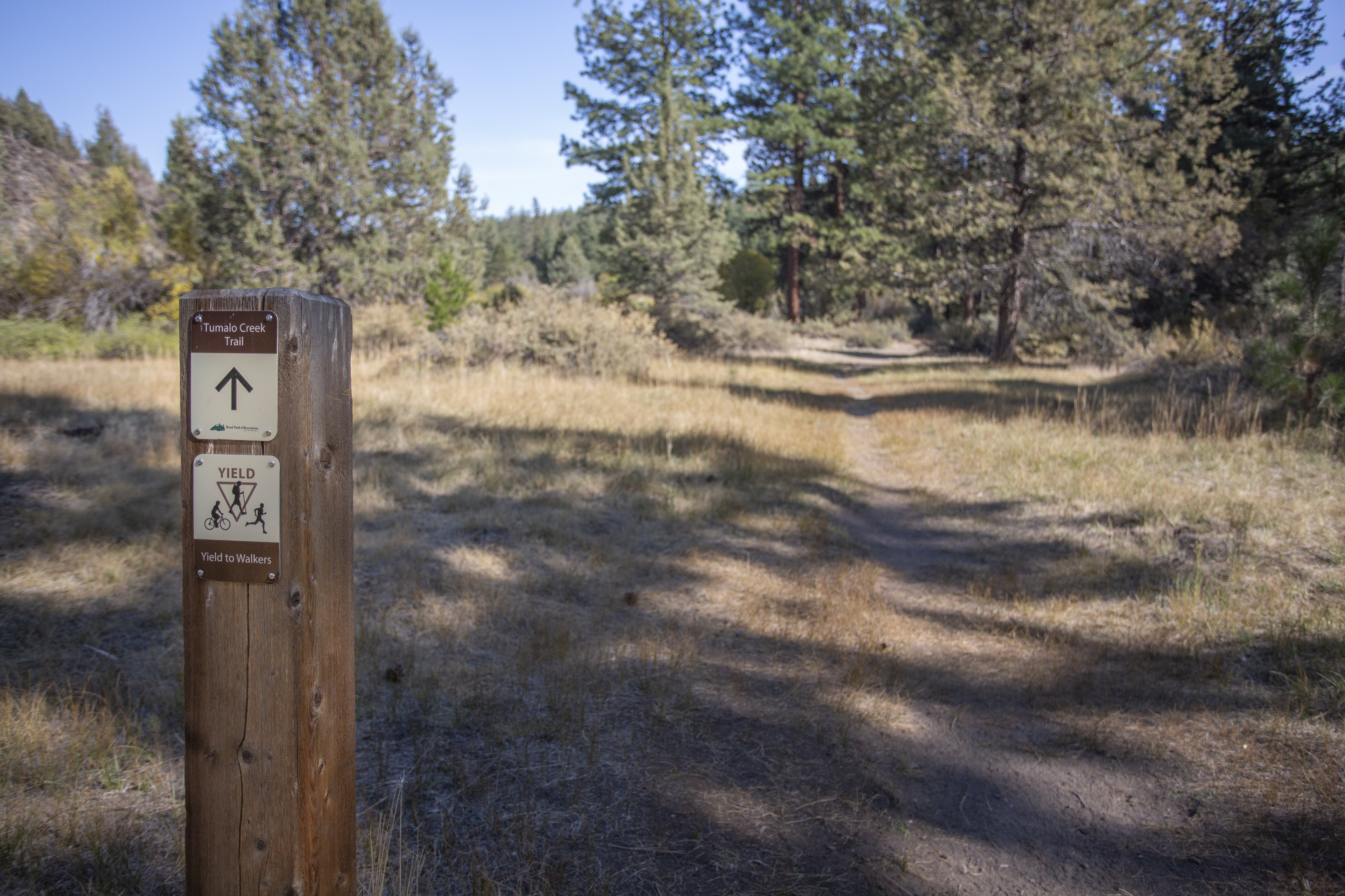 A wayfinding bollard in Shevlin Park