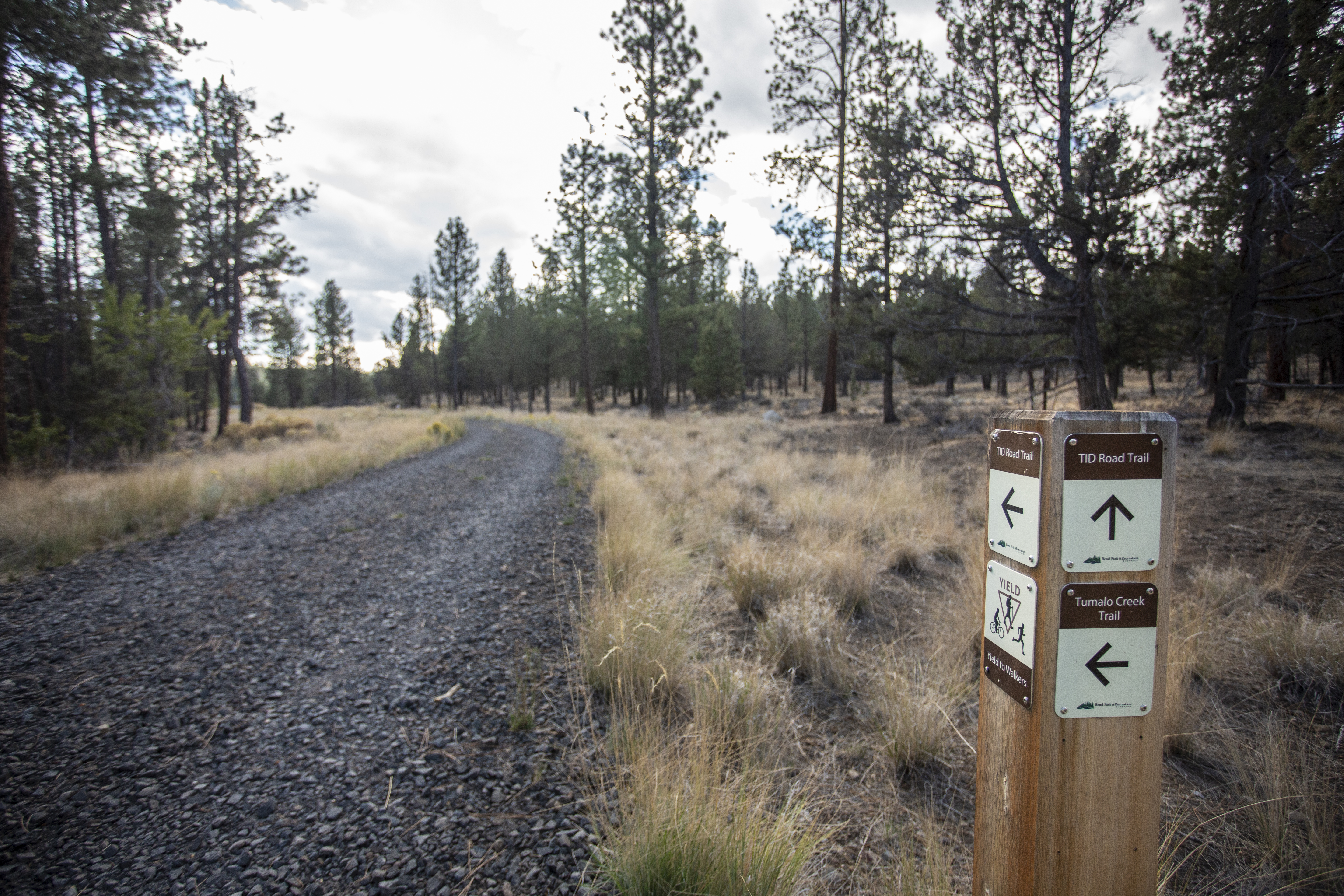 A wayfinding bollard in Shevlin Park