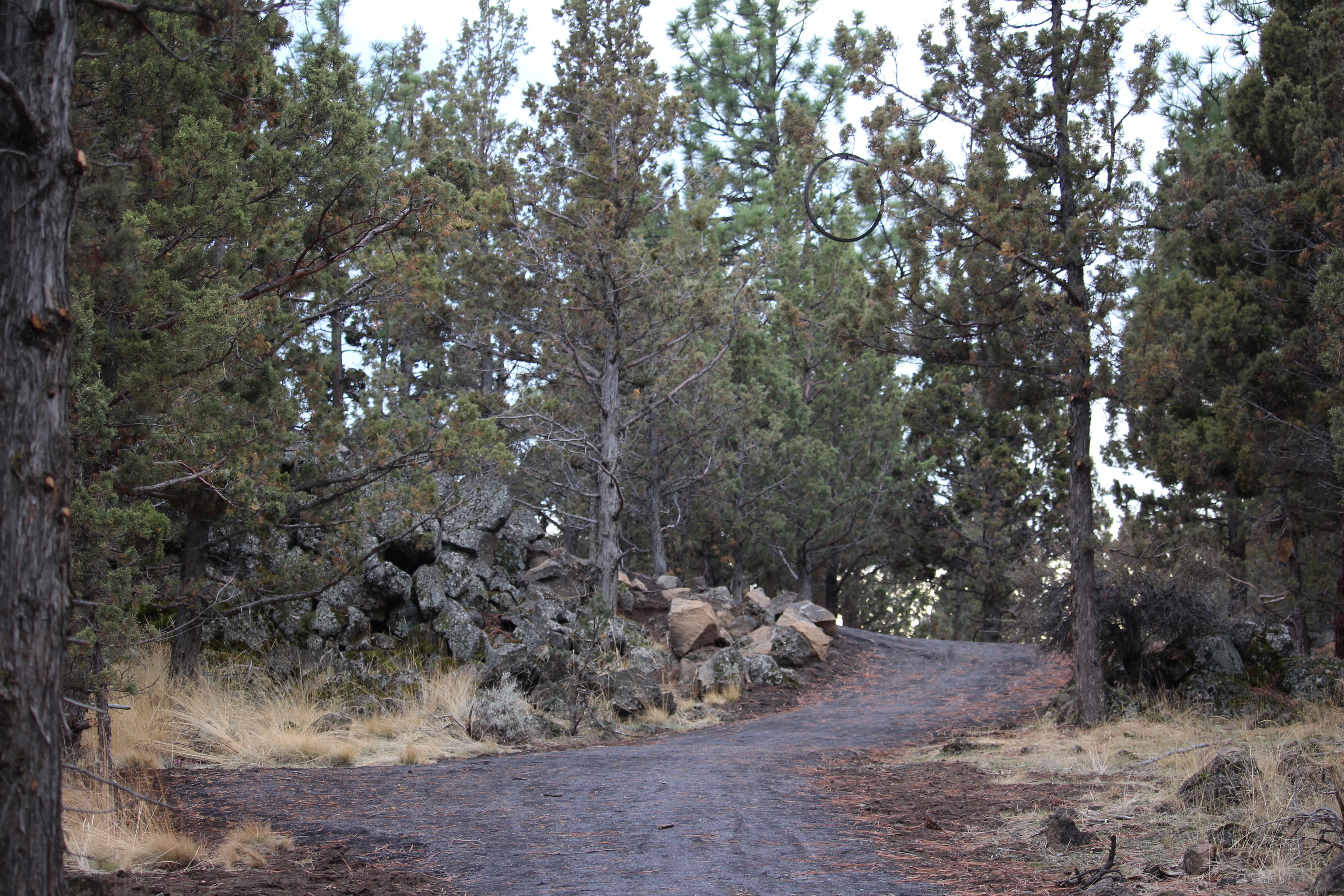 The aggregate trail through Stone Creek natural area