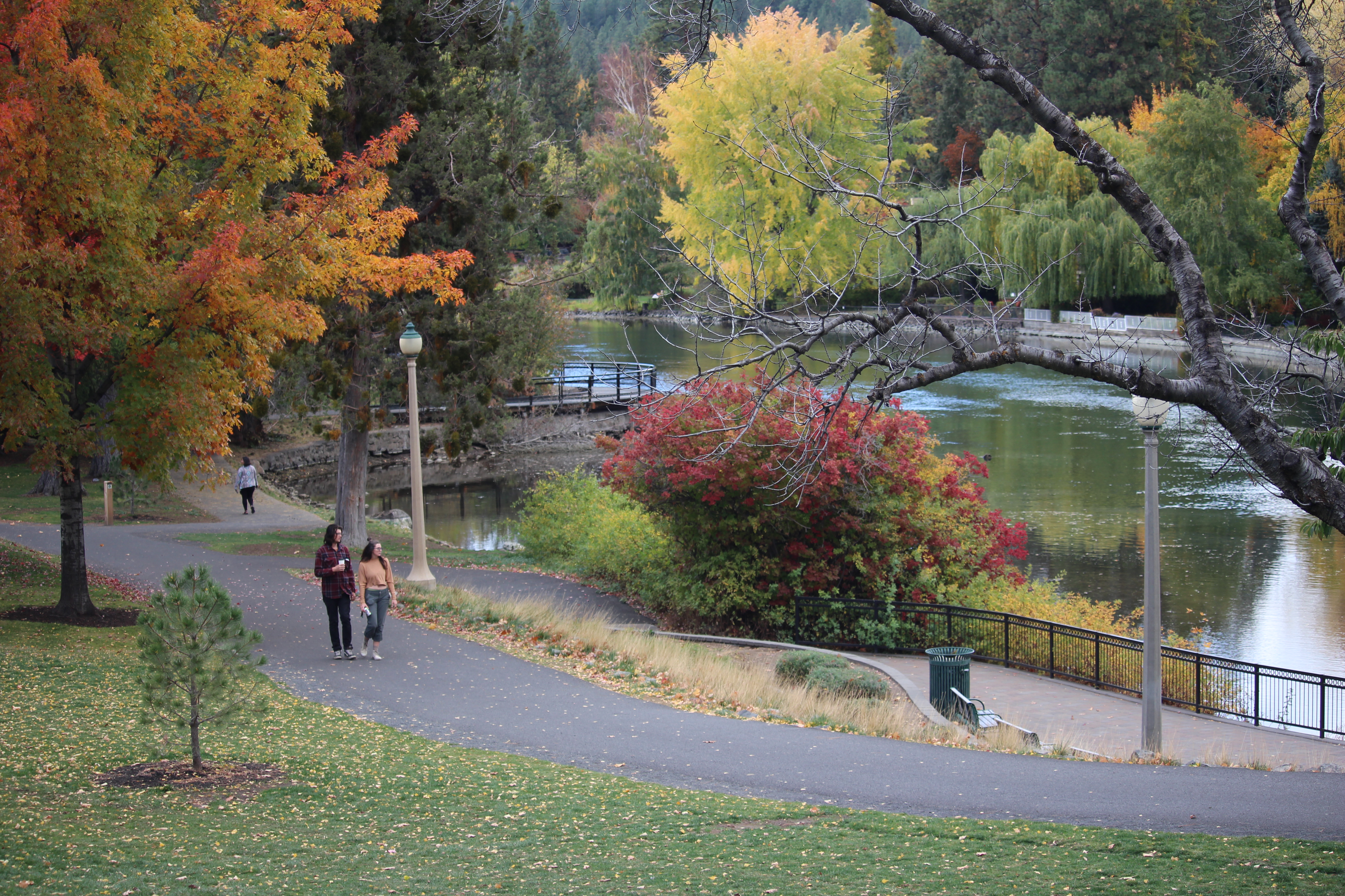 The DRT in Drake Park along Mirror Pond