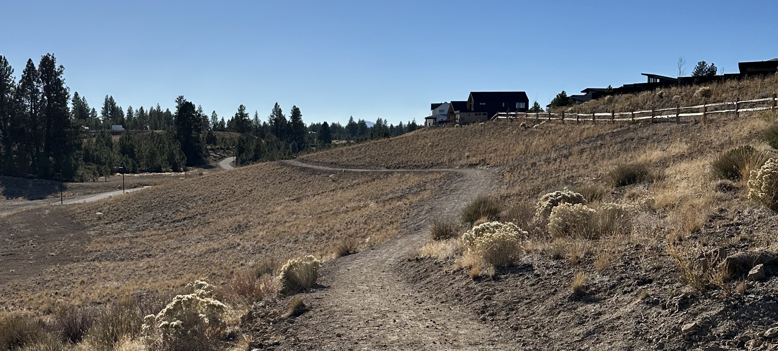 A natural surface trail winds through neighborhood open space