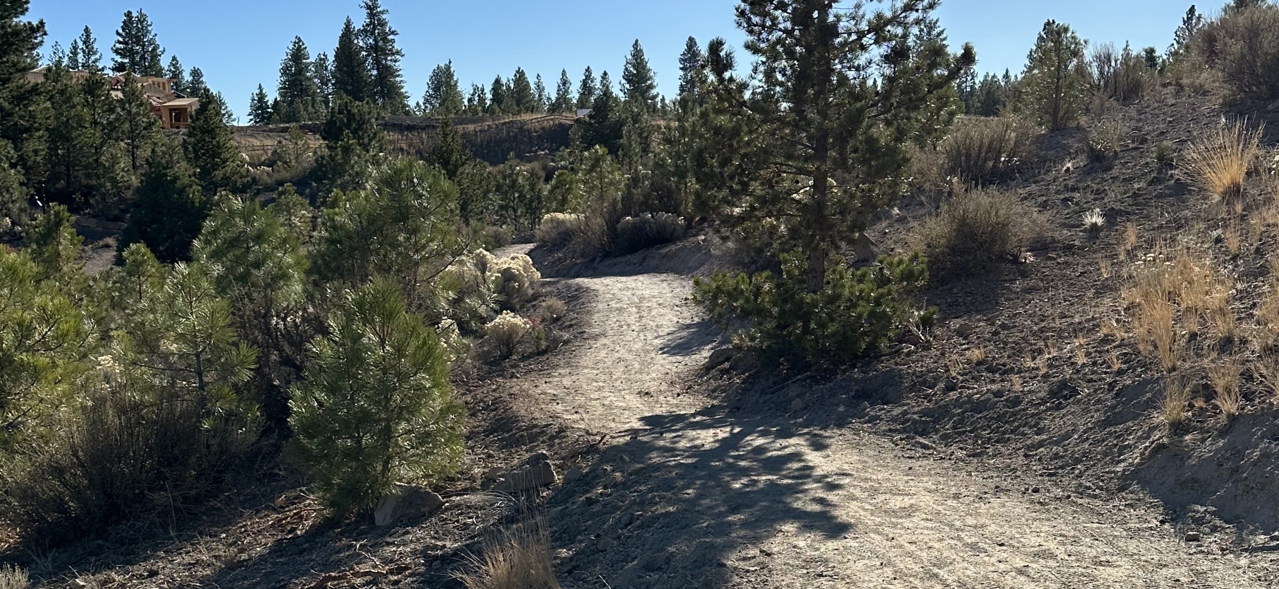 A natural surface trail winds through neighborhood open space