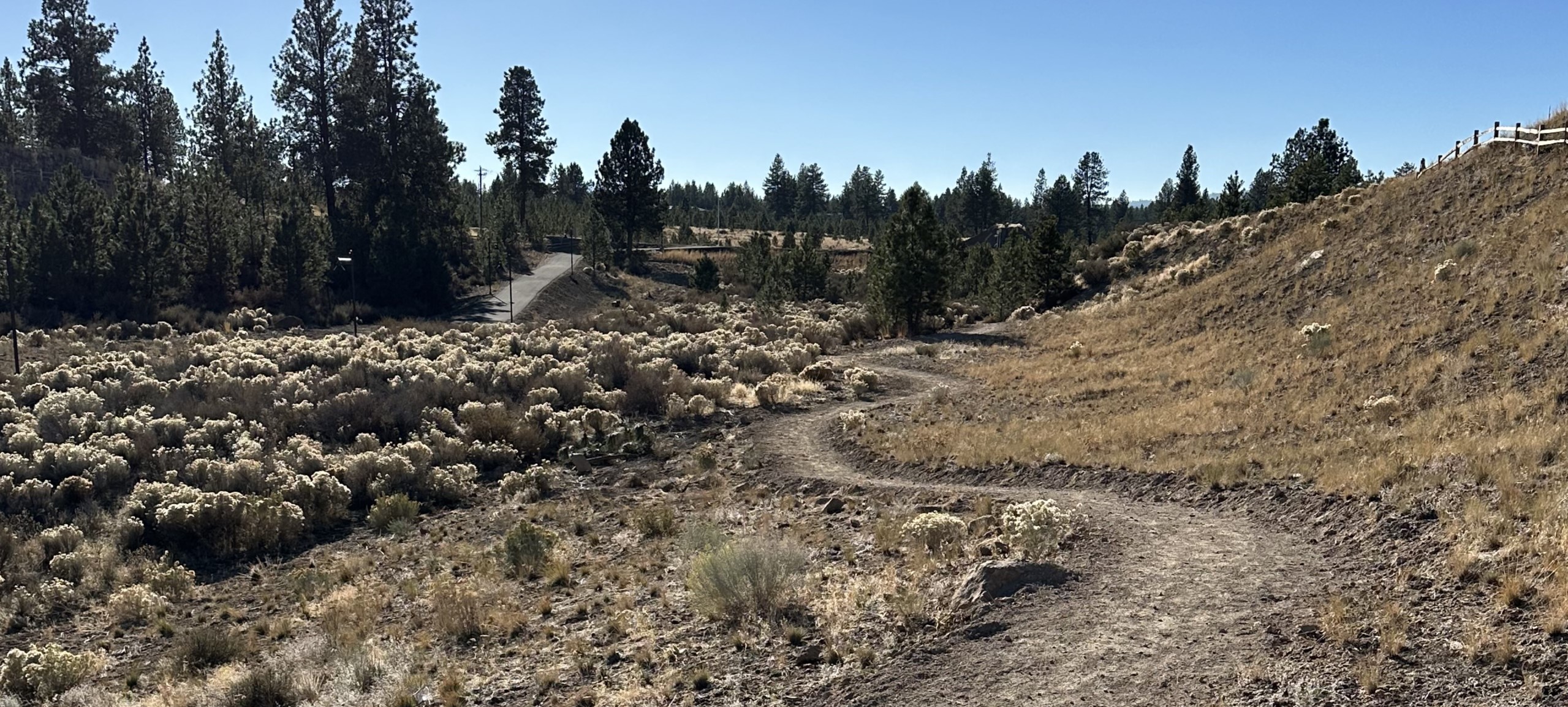 A natural surface trail winds through neighborhood open space