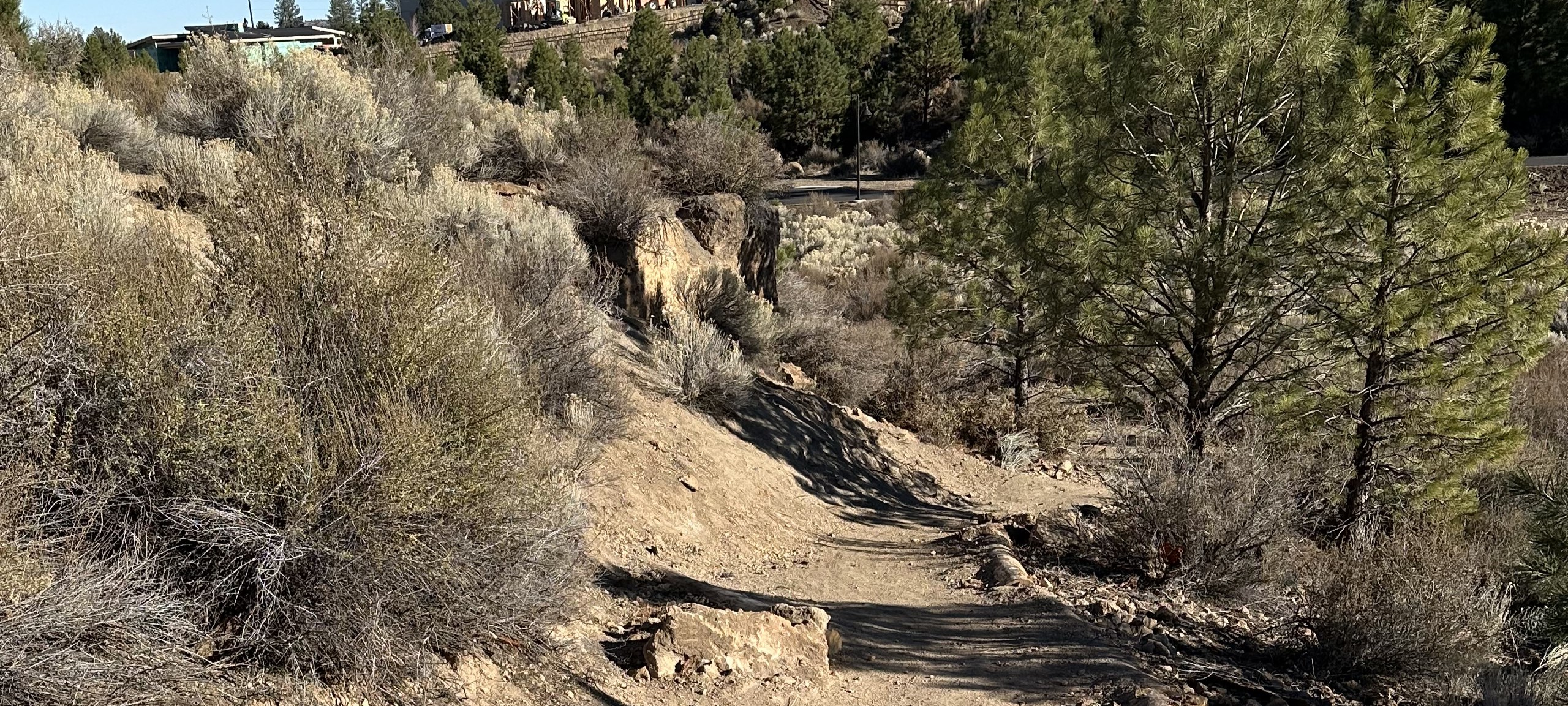 A natural surface trail winds through neighborhood open space