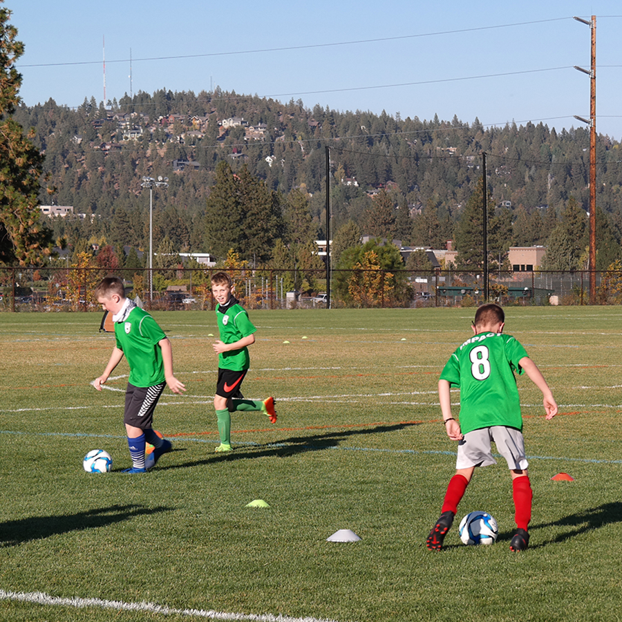 Flag Football  West Rock Indoor Sports