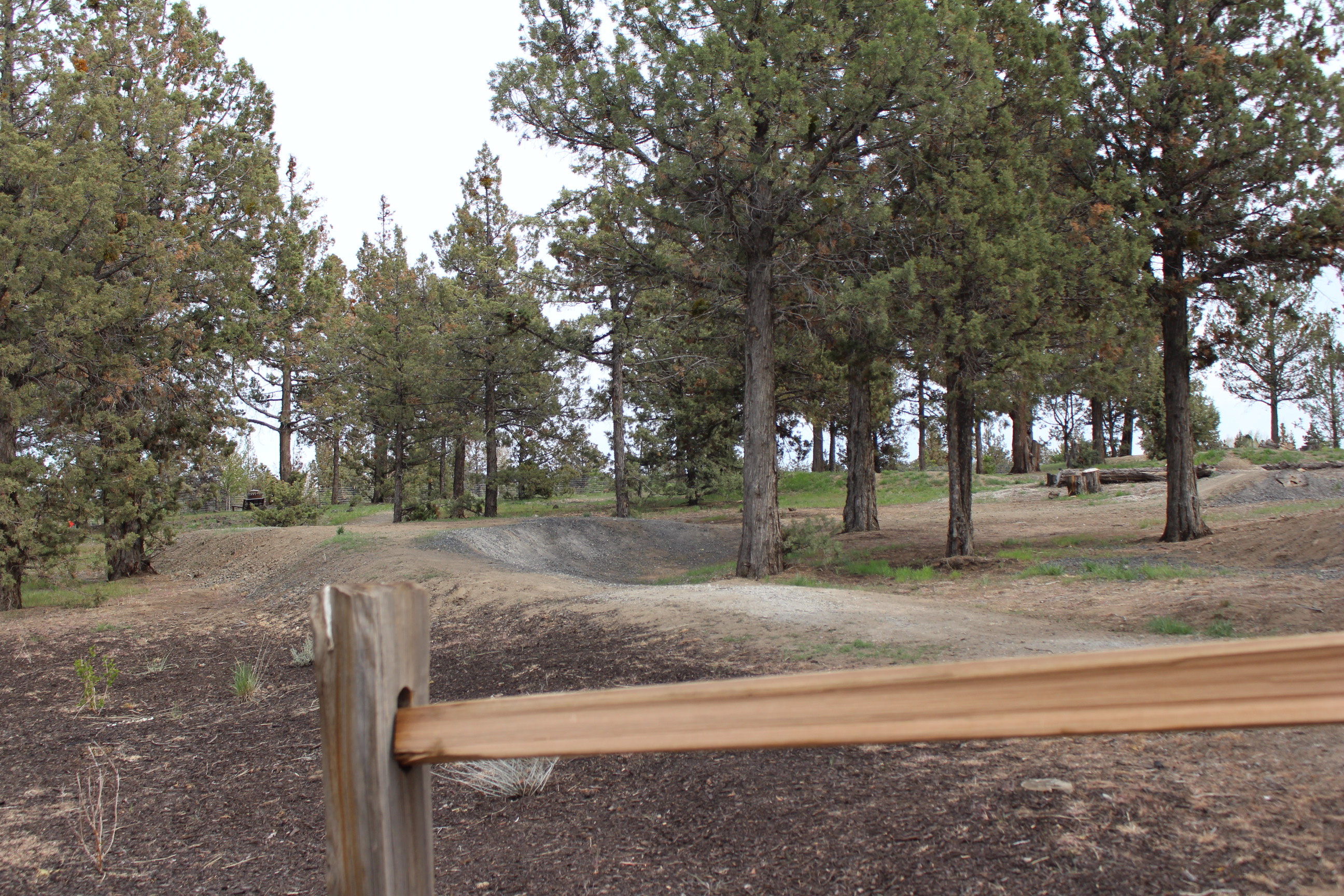 Fieldstone Park bike park berm