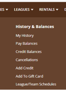 a screenshot of the history and balances menu on the BPRD registration website