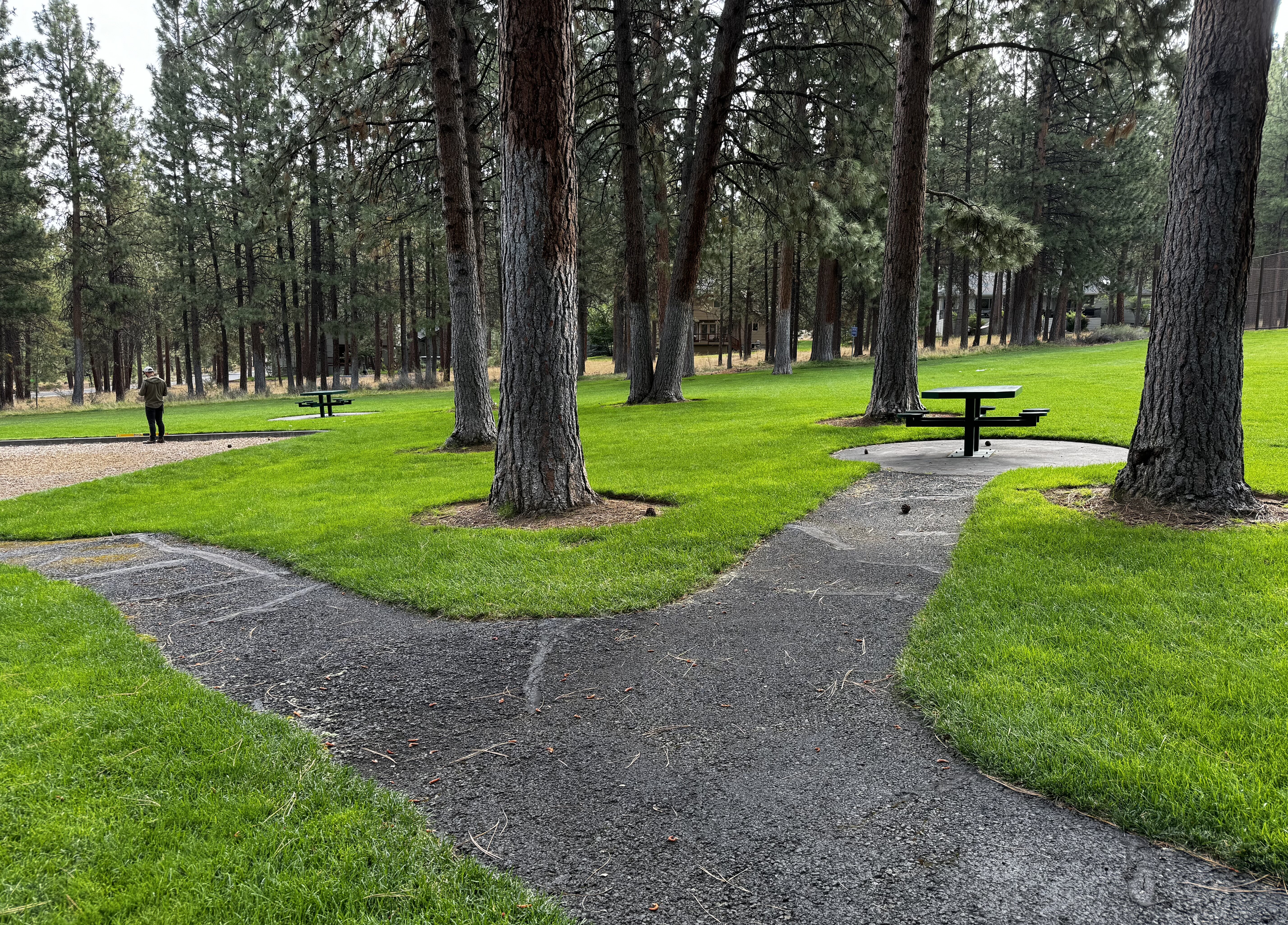 A pathway at Sylvan Park to the playground and picnic table