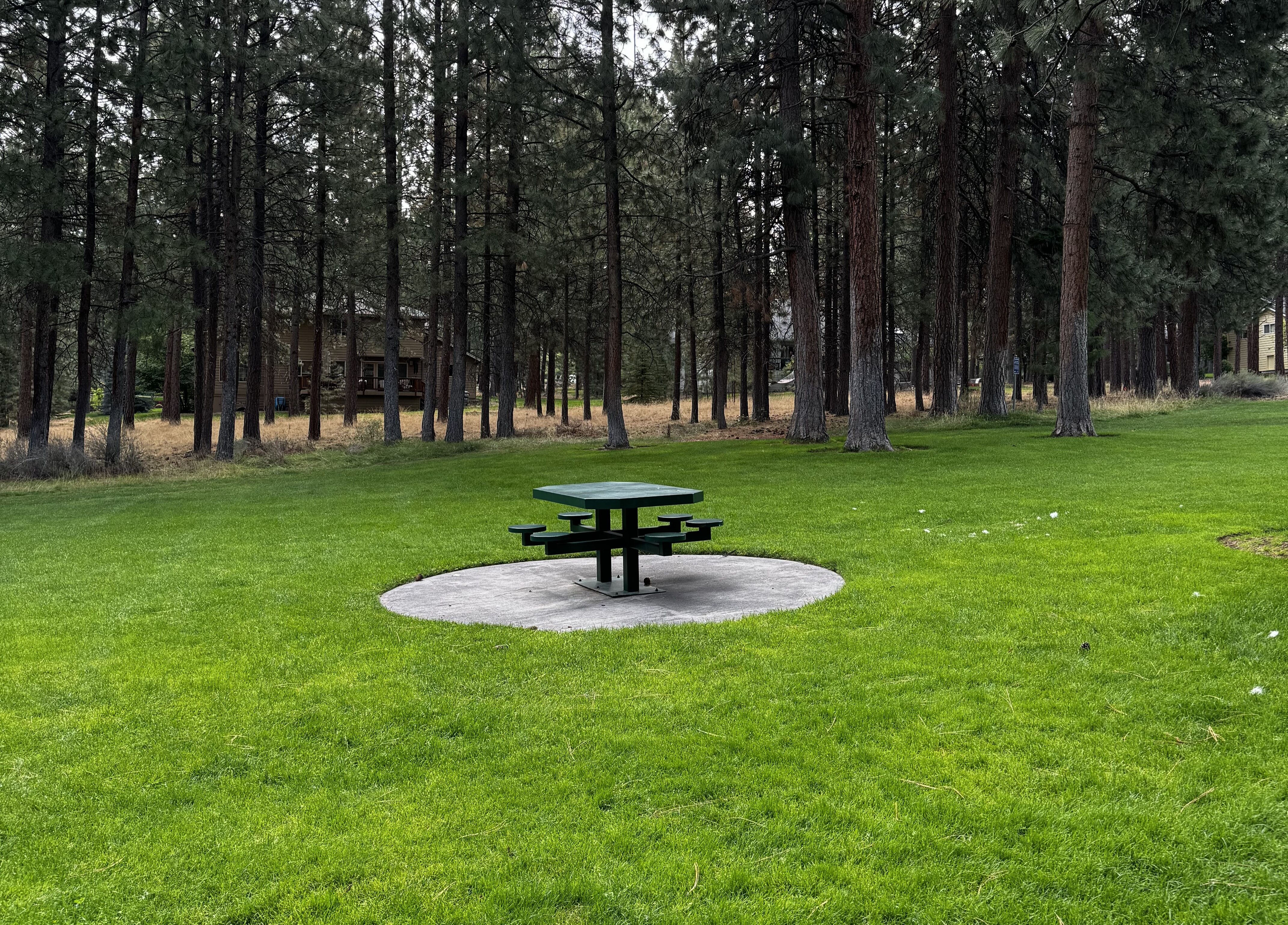 A picnic table in the grass at sylvan park