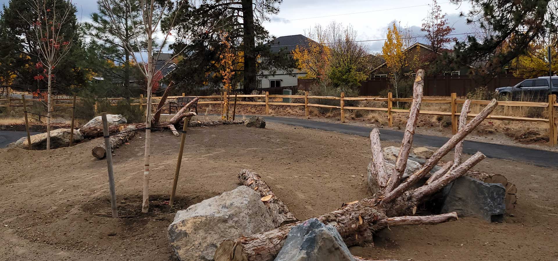 Photograph of the natural play area at Little Fawn Park.